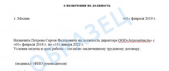 Образец приказа о назначении на должность Директора ООО